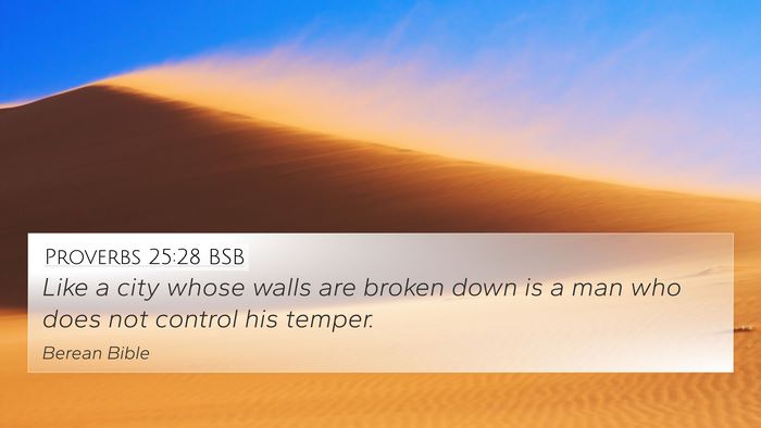 Proverbs 25:28 BSB Bible Verse Image