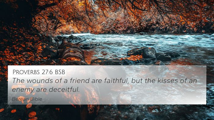 Proverbs 27:6 BSB Bible Verse Image