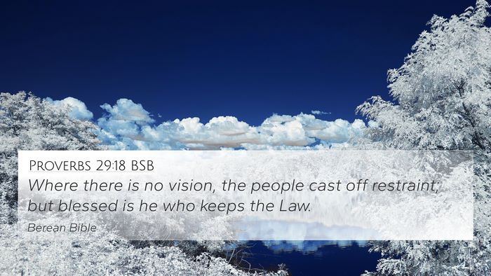 Proverbs 29:18 BSB Bible Verse Image