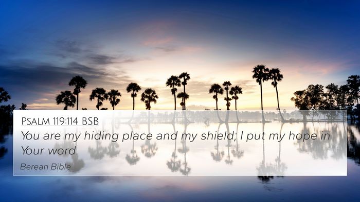 Psalm 119:114 BSB Bible Verse Image