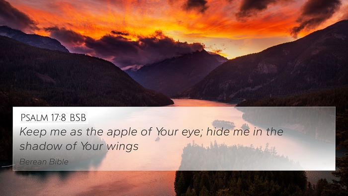 Psalm 17:8 BSB Bible Verse Image