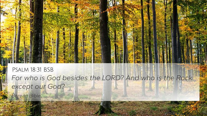 Psalm 18:31 BSB Bible Verse Image