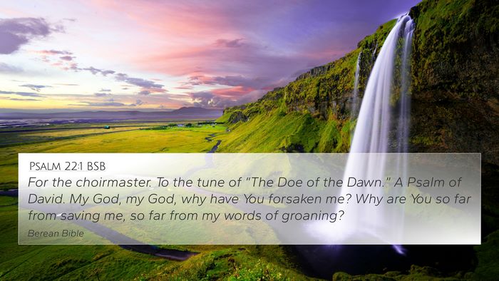 Psalm 22:1 BSB Bible Verse Image