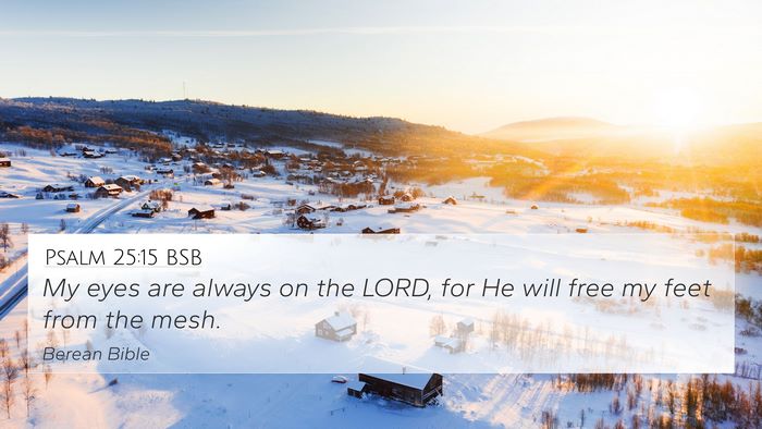Psalm 25:15 BSB Bible Verse Image