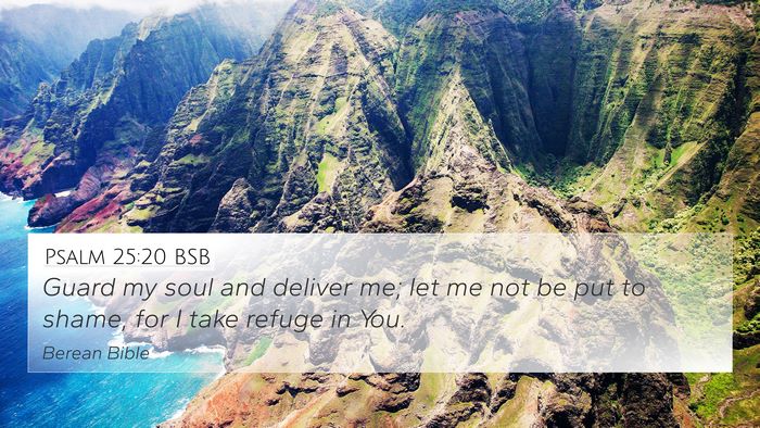 Psalm 25:20 BSB Bible Verse Image