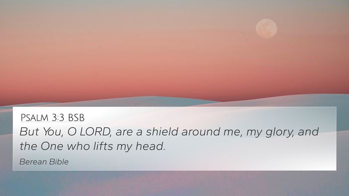 Psalm 3:3 BSB Bible Verse Image