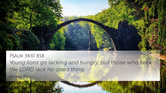 Psalm 34:10 BSB Bible Verse Image