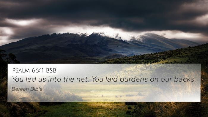Psalm 66:11 BSB Bible Verse Image