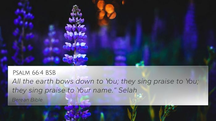 Psalm 66:4 BSB Bible Verse Image