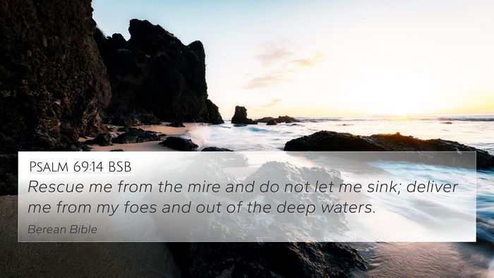 Psalm 69:14 BSB Bible Verse Image
