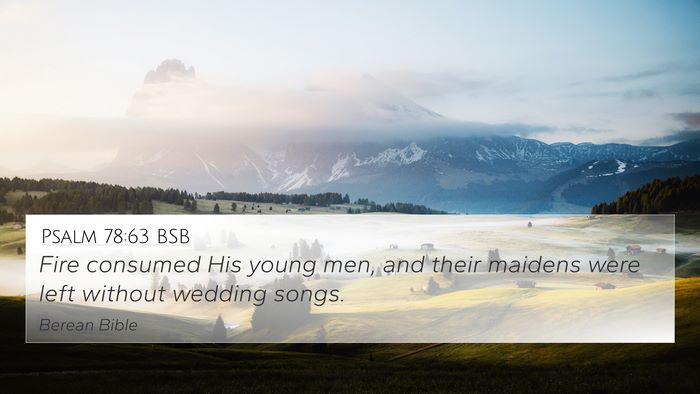 Psalm 78:63 BSB Bible Verse Image