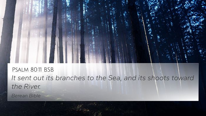 Psalm 80:11 BSB Bible Verse Image