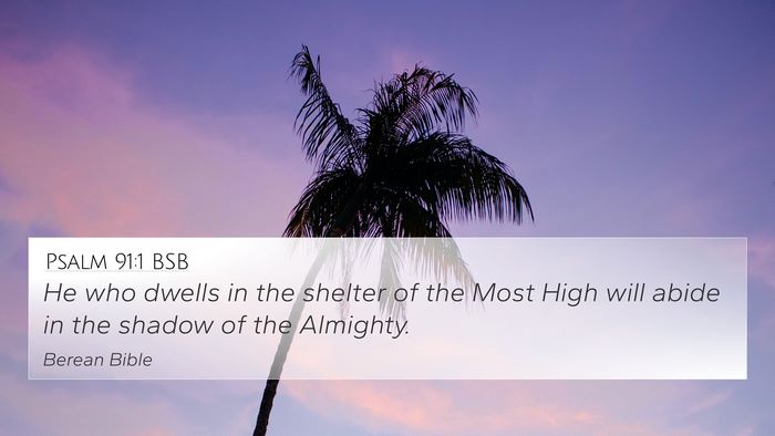 Psalm 91:1 BSB Bible Verse Image