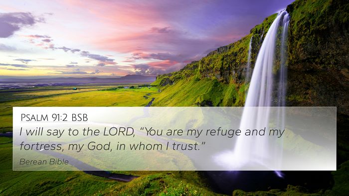 Psalm 91:2 BSB Bible Verse Image