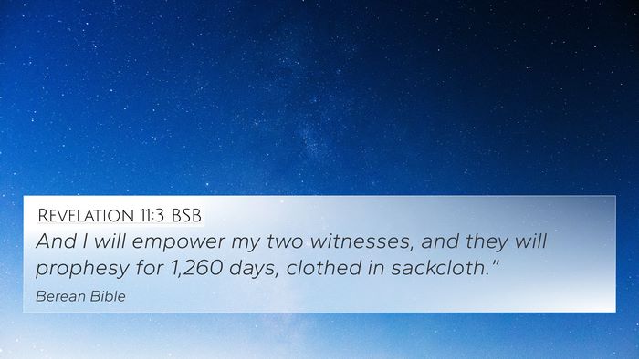 Revelation 11:3 BSB Bible Verse Image