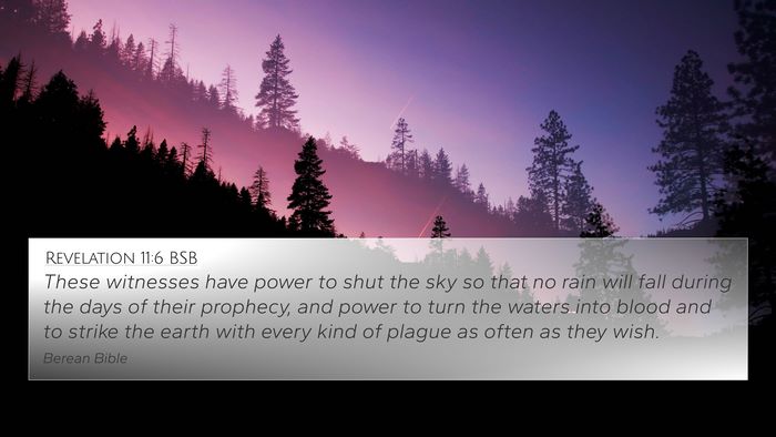 Revelation 11:6 BSB Bible Verse Image