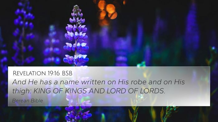 Revelation 19:16 BSB Bible Verse Image