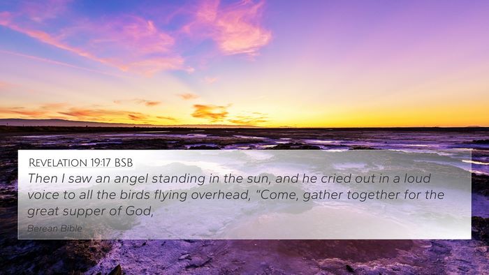 Revelation 19:17 BSB Bible Verse Image