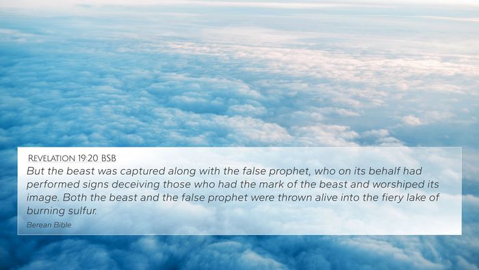 Revelation 19:20 BSB Bible Verse Image