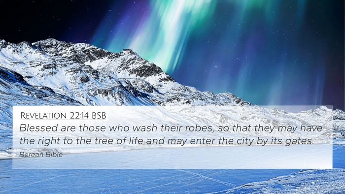 Revelation 22:14 BSB Bible Verse Image