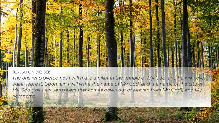 Revelation 3:12 BSB Bible Verse Image