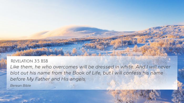 Revelation 3:5 BSB Bible Verse Image