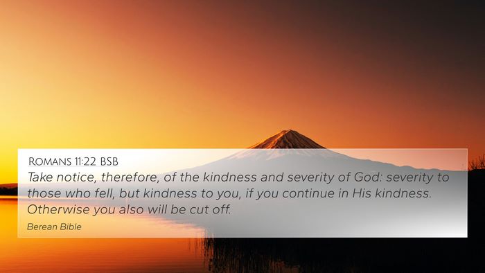 Romans 11:22 BSB Bible Verse Image