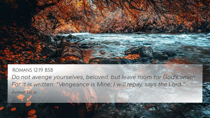 Romans 12:19 BSB Bible Verse Image