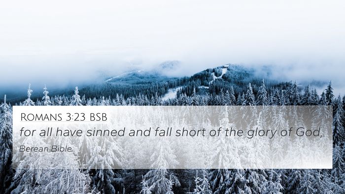 Romans 3:23 BSB Bible Verse Image