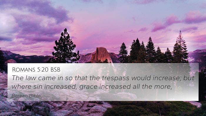 Romans 5:20 BSB Bible Verse Image