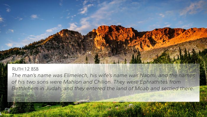 Ruth 1:2 BSB Bible Verse Image