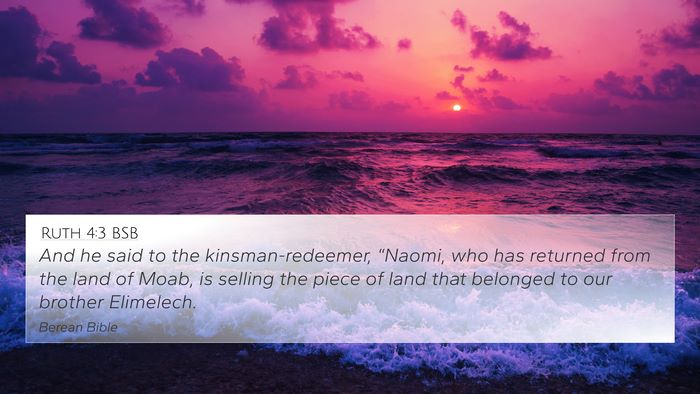 Ruth 4:3 BSB Bible Verse Image