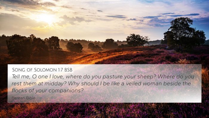 Song of Solomon 1:7 BSB Bible Verse Image