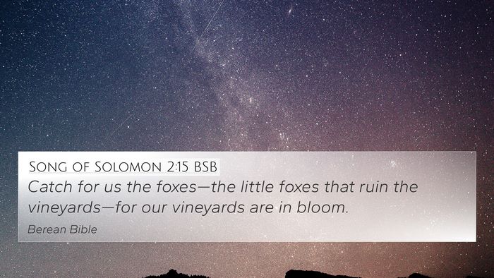 Song of Solomon 2:15 BSB Bible Verse Image