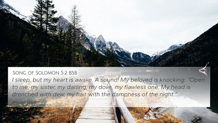 Song of Solomon 5:2 BSB Bible Verse Image