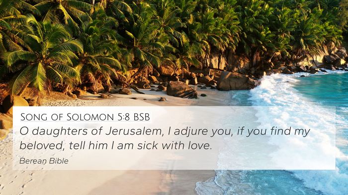 Song of Solomon 5:8 BSB Bible Verse Image