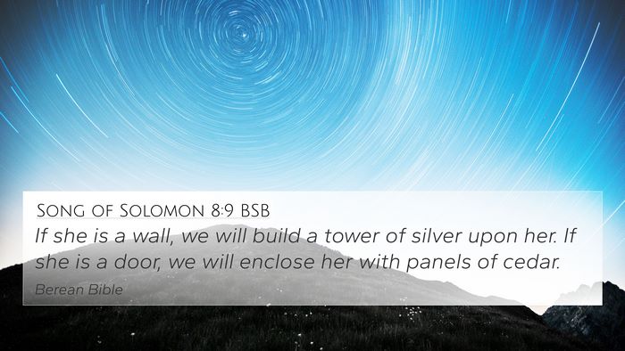 Song of Solomon 8:9 BSB Bible Verse Image