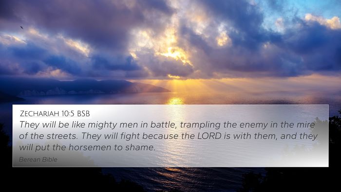 Zechariah 10:5 BSB Bible Verse Image