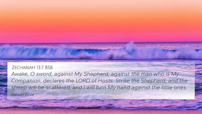 Zechariah 13:7 BSB Bible Verse Image