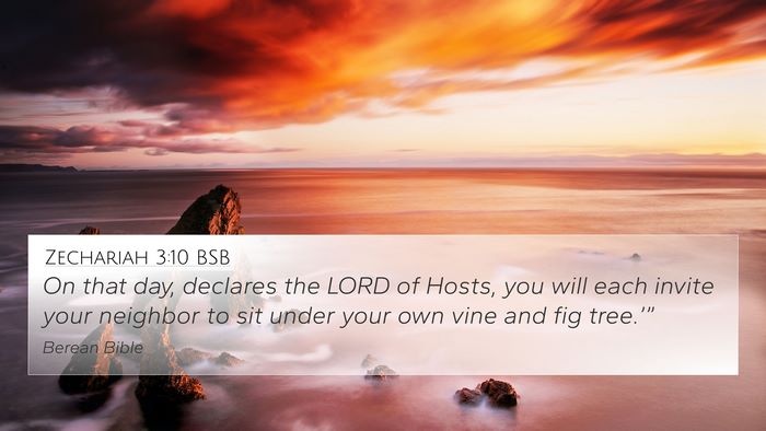 Zechariah 3:10 BSB Bible Verse Image