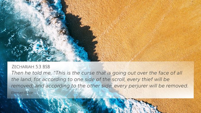 Zechariah 5:3 BSB Bible Verse Image