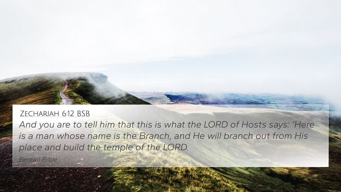 Zechariah 6:12 BSB Bible Verse Image