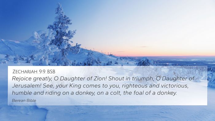 Zechariah 9:9 BSB Bible Verse Image