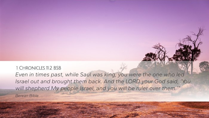1 Chronicles 11:2 BSB Bible Verse Image