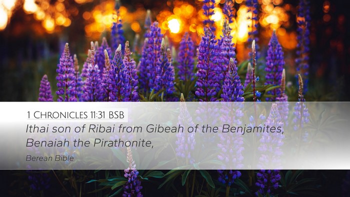 1 Chronicles 11:31 BSB Bible Verse Image
