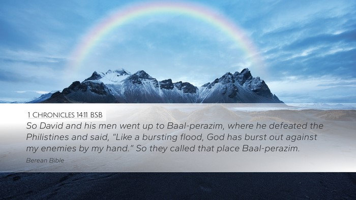 1 Chronicles 14:11 BSB Bible Verse Image