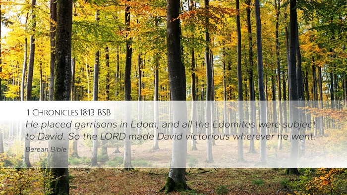 1 Chronicles 18:13 BSB Bible Verse Image