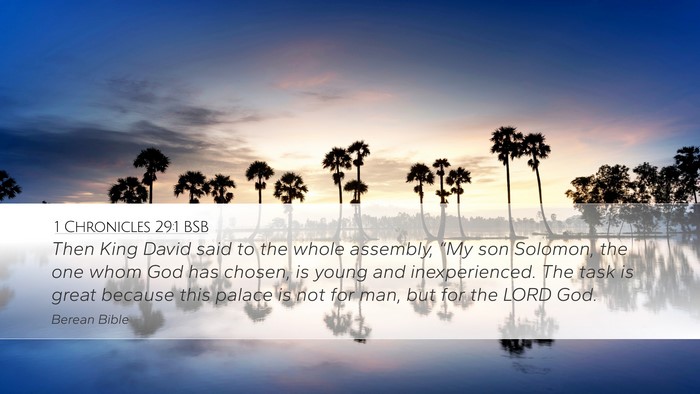 1 Chronicles 29:1 BSB Bible Verse Image