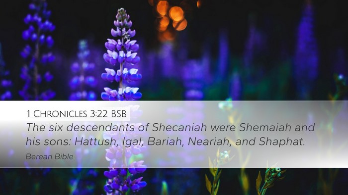 1 Chronicles 3:22 BSB Bible Verse Image