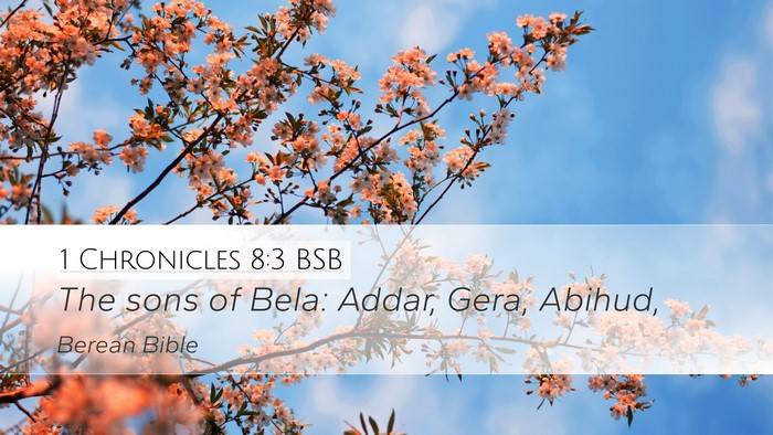 1 Chronicles 8:3 BSB Desktop Wallpaper - The sons of Bela: Addar, Gera, - Desktop Bible Verse Wallpaper